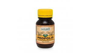 프로폴리스 500mg 30정